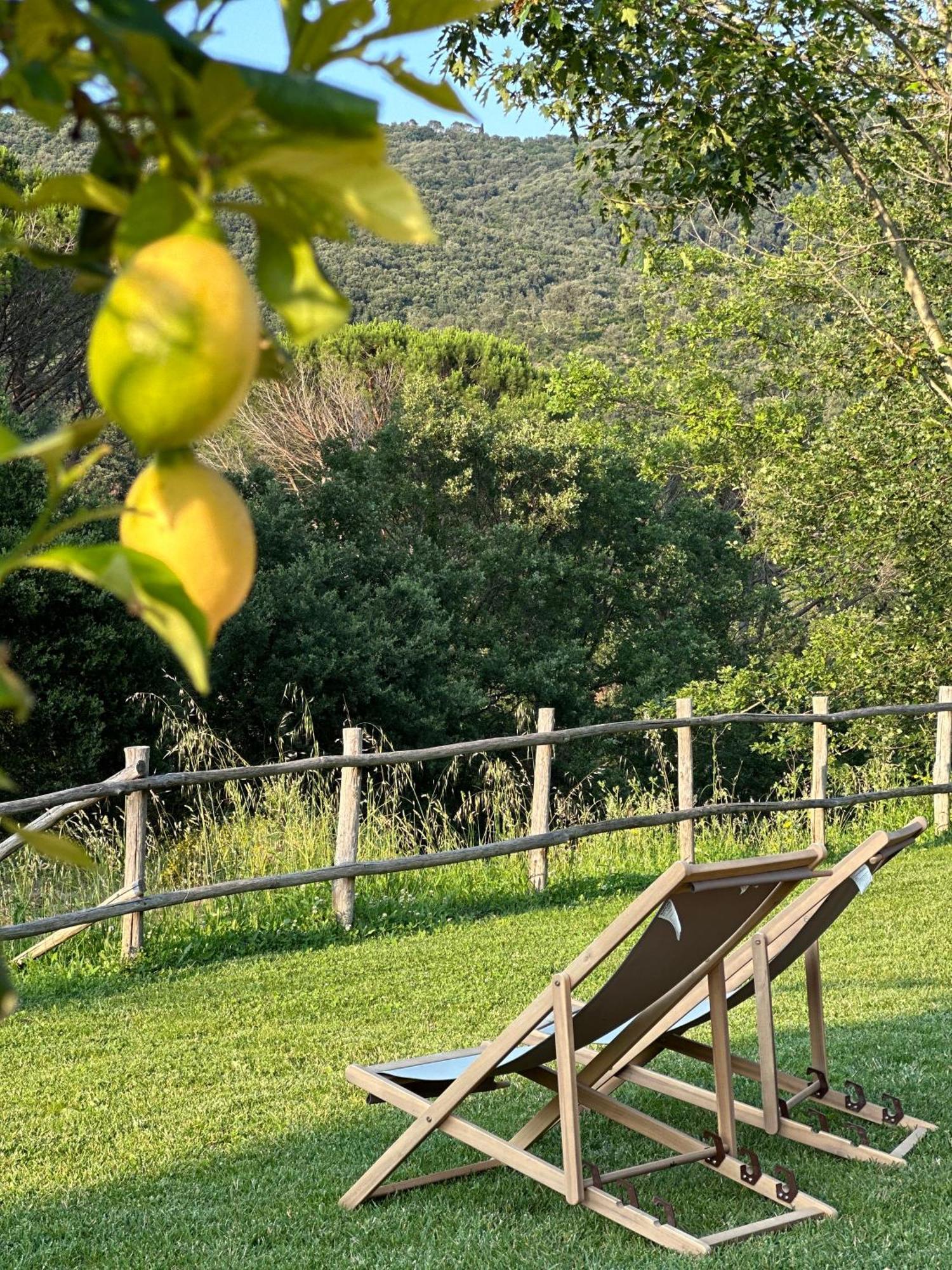 Gio Toscana Castiglione della Pescaia Exterior foto